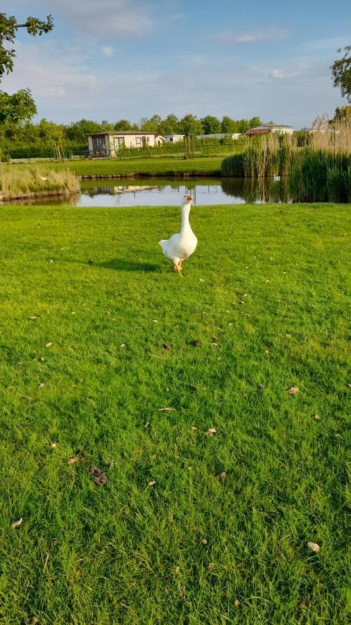 'T Groentje Baarland Bagian luar foto